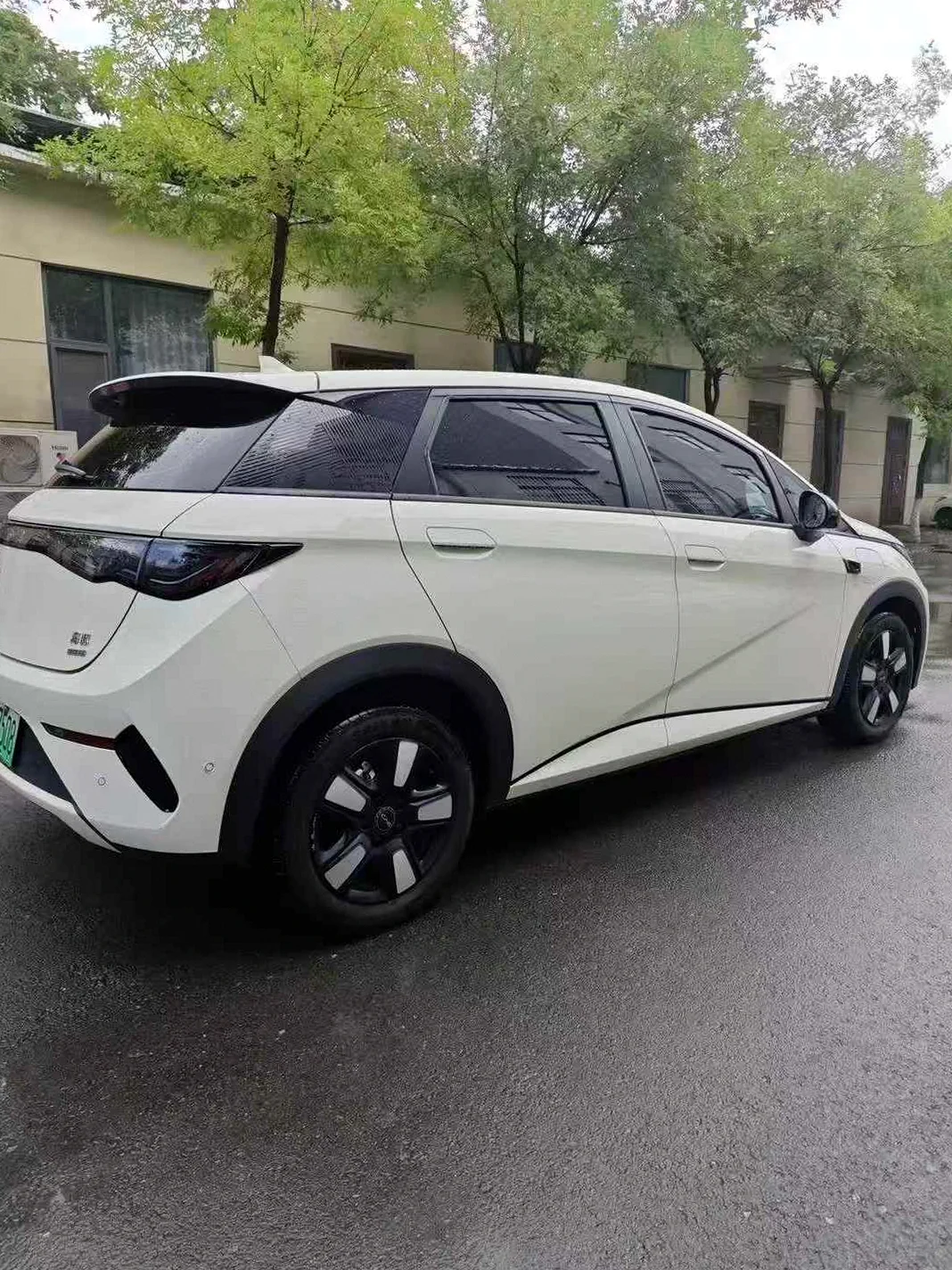 比亚迪海豚 后面外观一