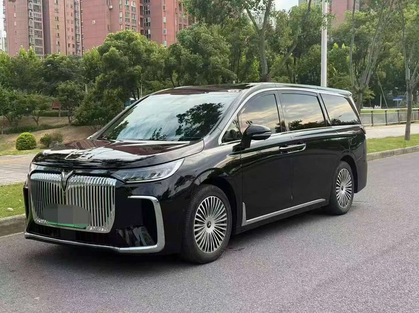 岚图汽车梦想家 正面外观三