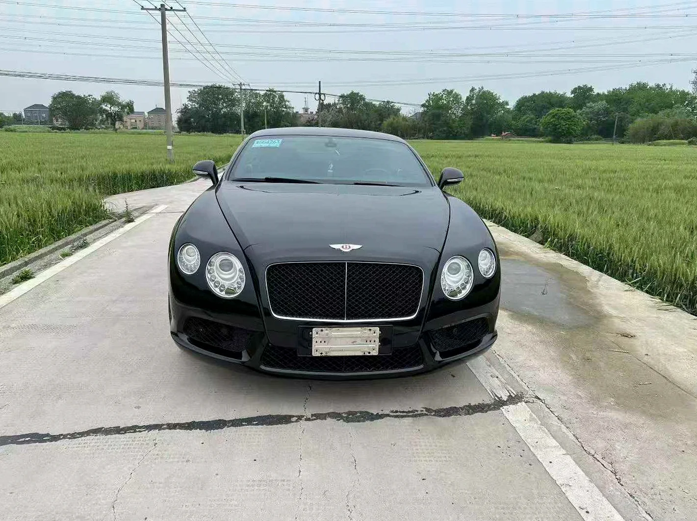 宾利欧陆 正面外观二