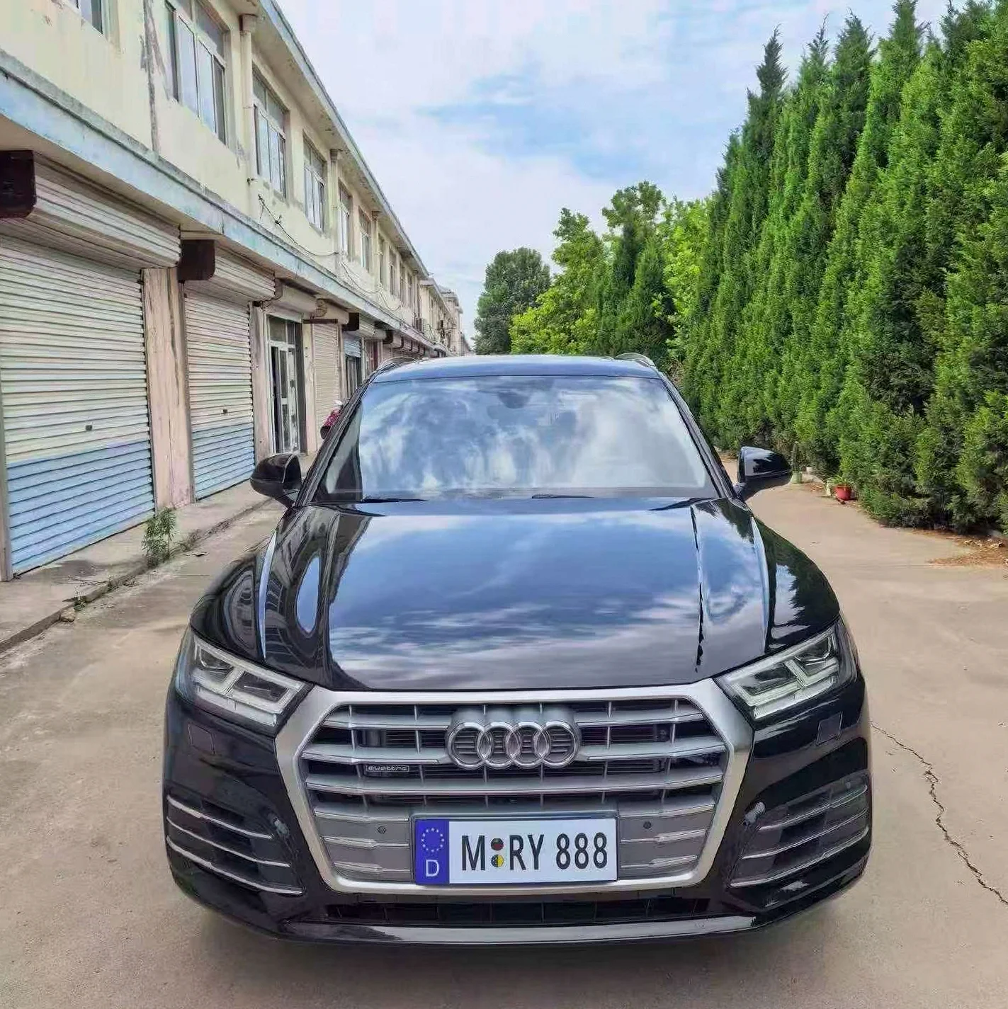 2019款 奥迪 Q5