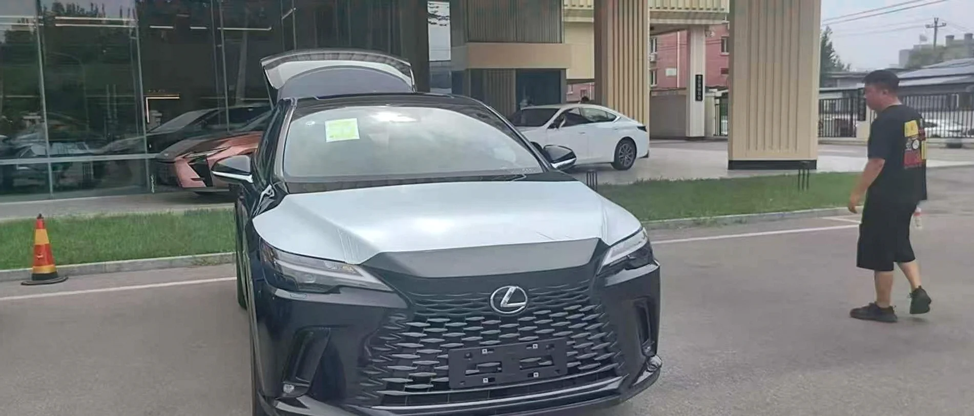 2026款 雷克萨斯 RX