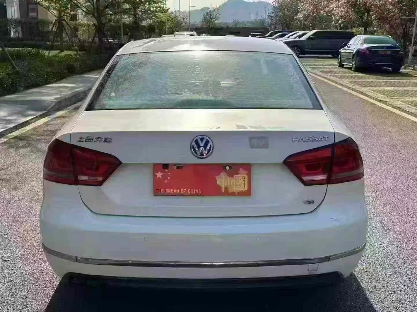 大众帕萨特 后面外观二