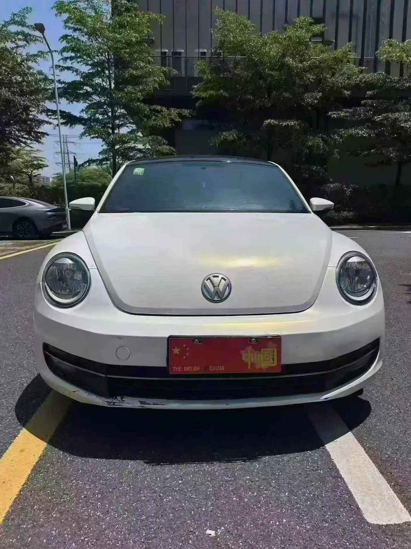 大众甲壳虫 正面外观二