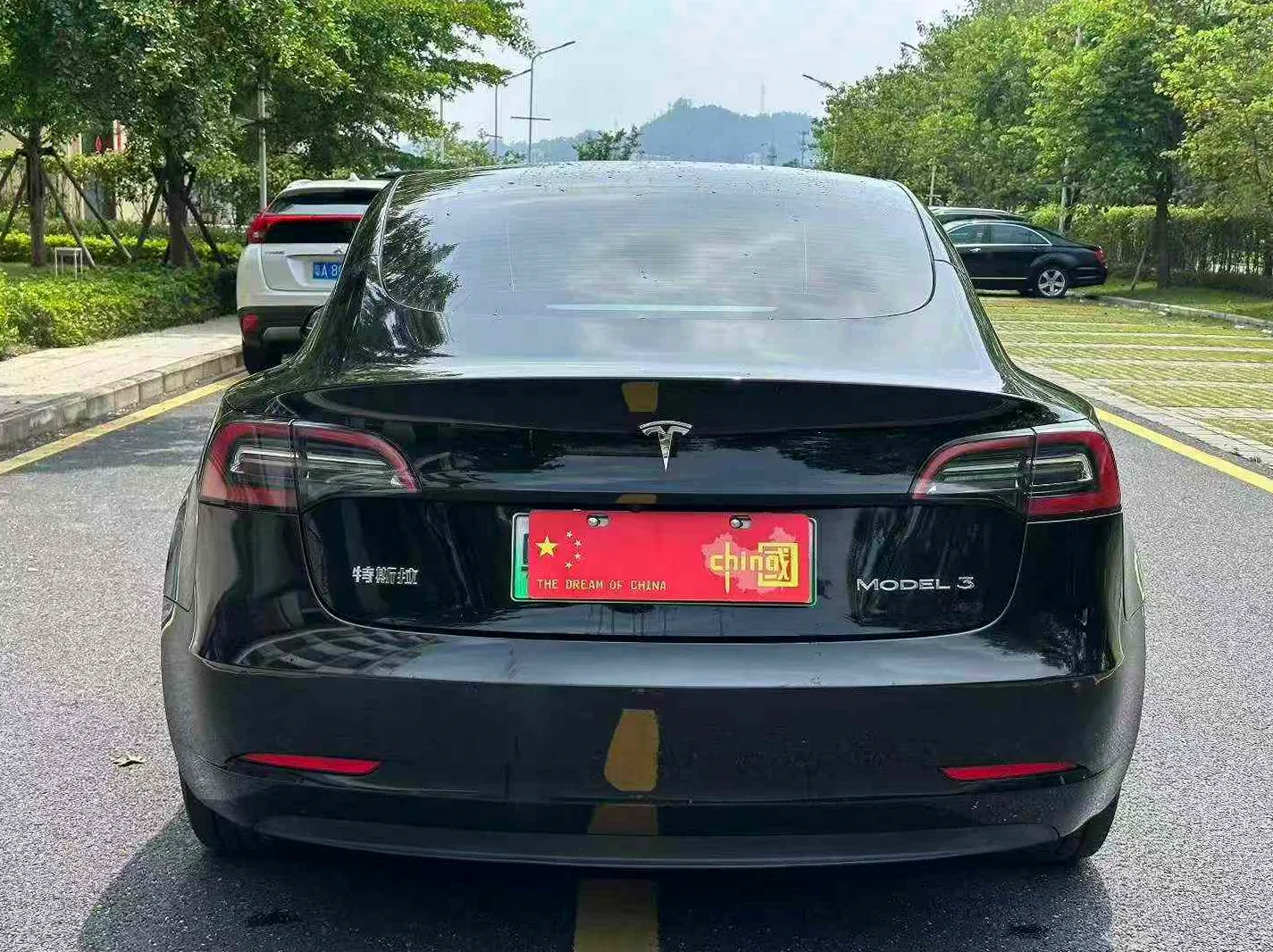 特斯拉MODEL 后面外观二