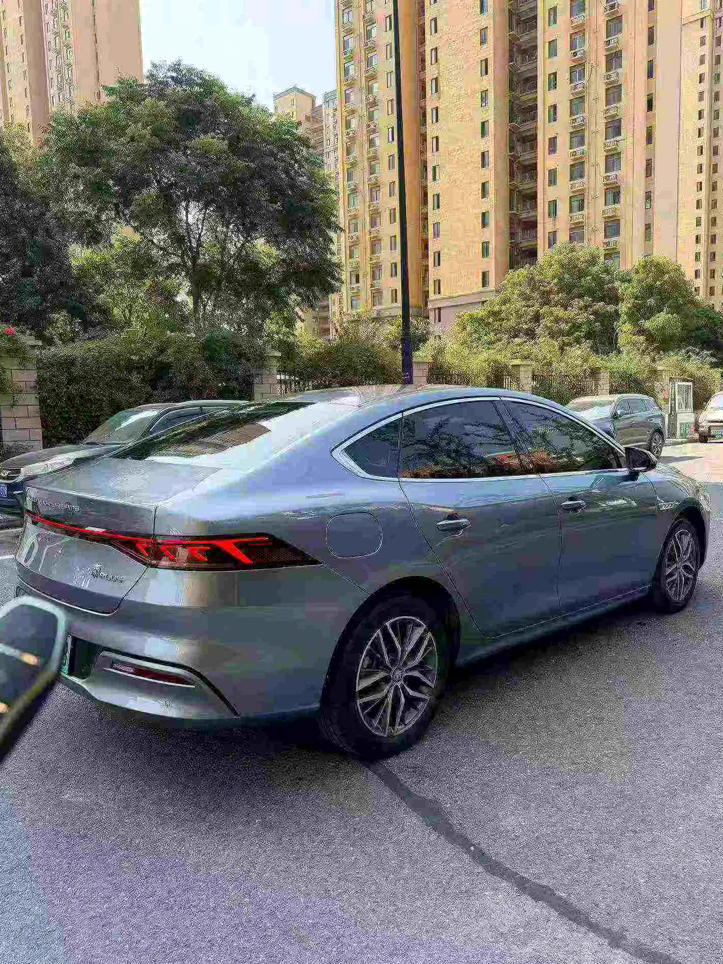 比亚迪秦 后面外观一