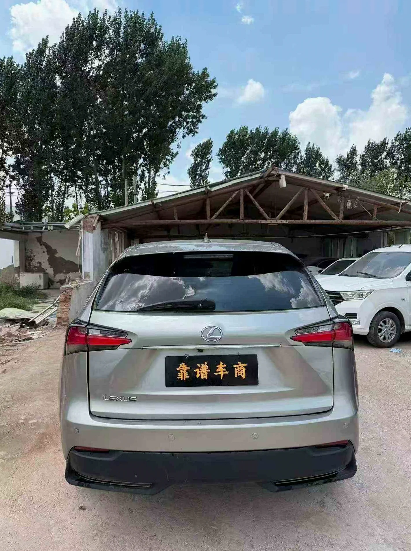 雷克萨斯NX 后面外观三