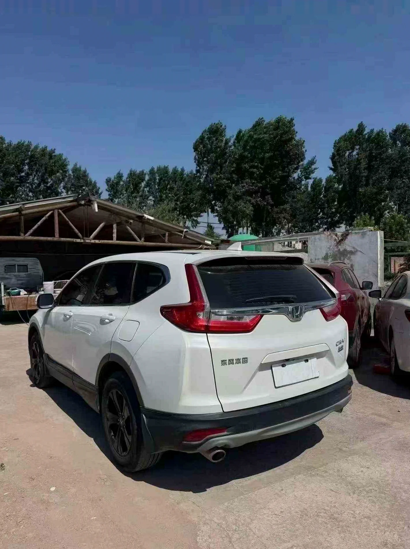 本田CRV 后面外观二