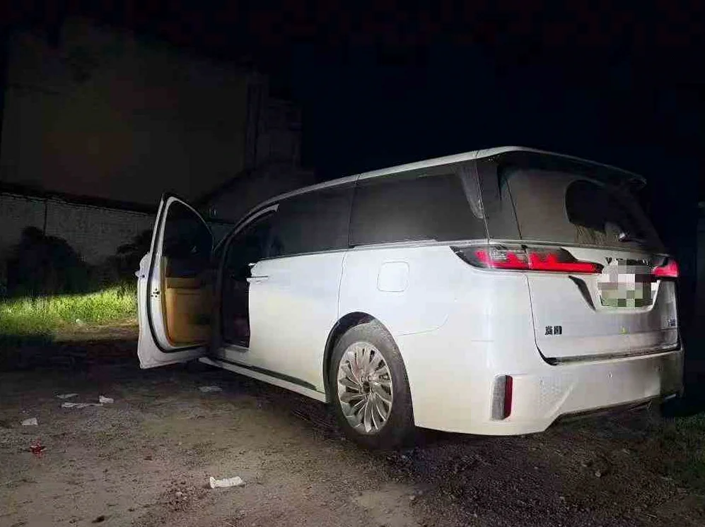 岚图汽车梦想家 后面外观二