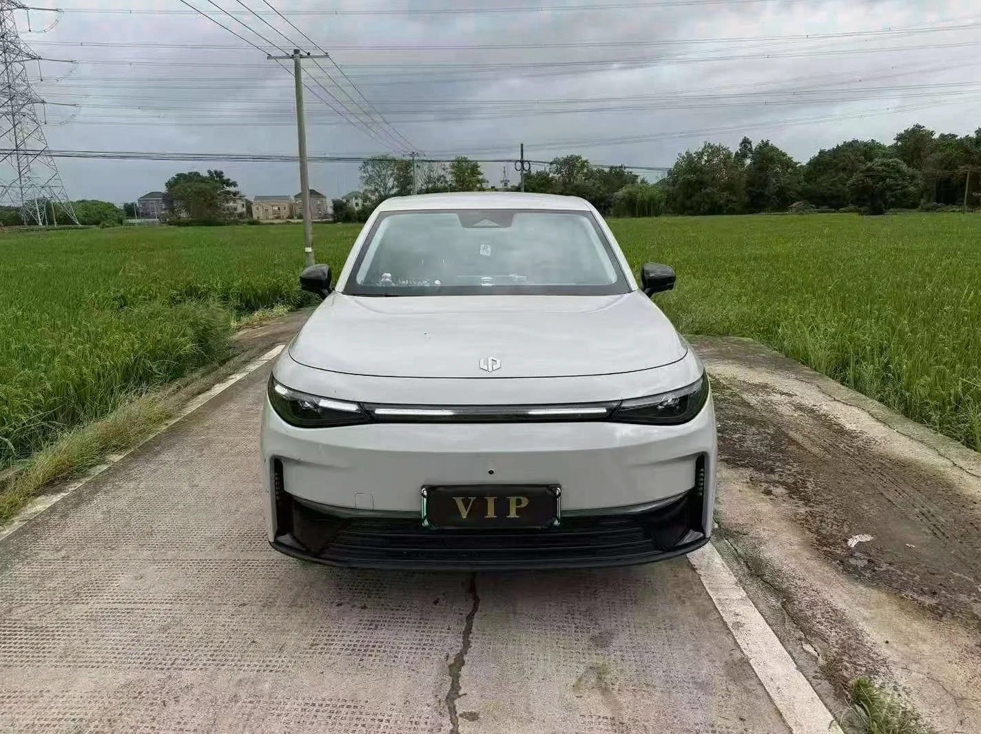 24年零跑C10舒享版 L2辅助驾驶