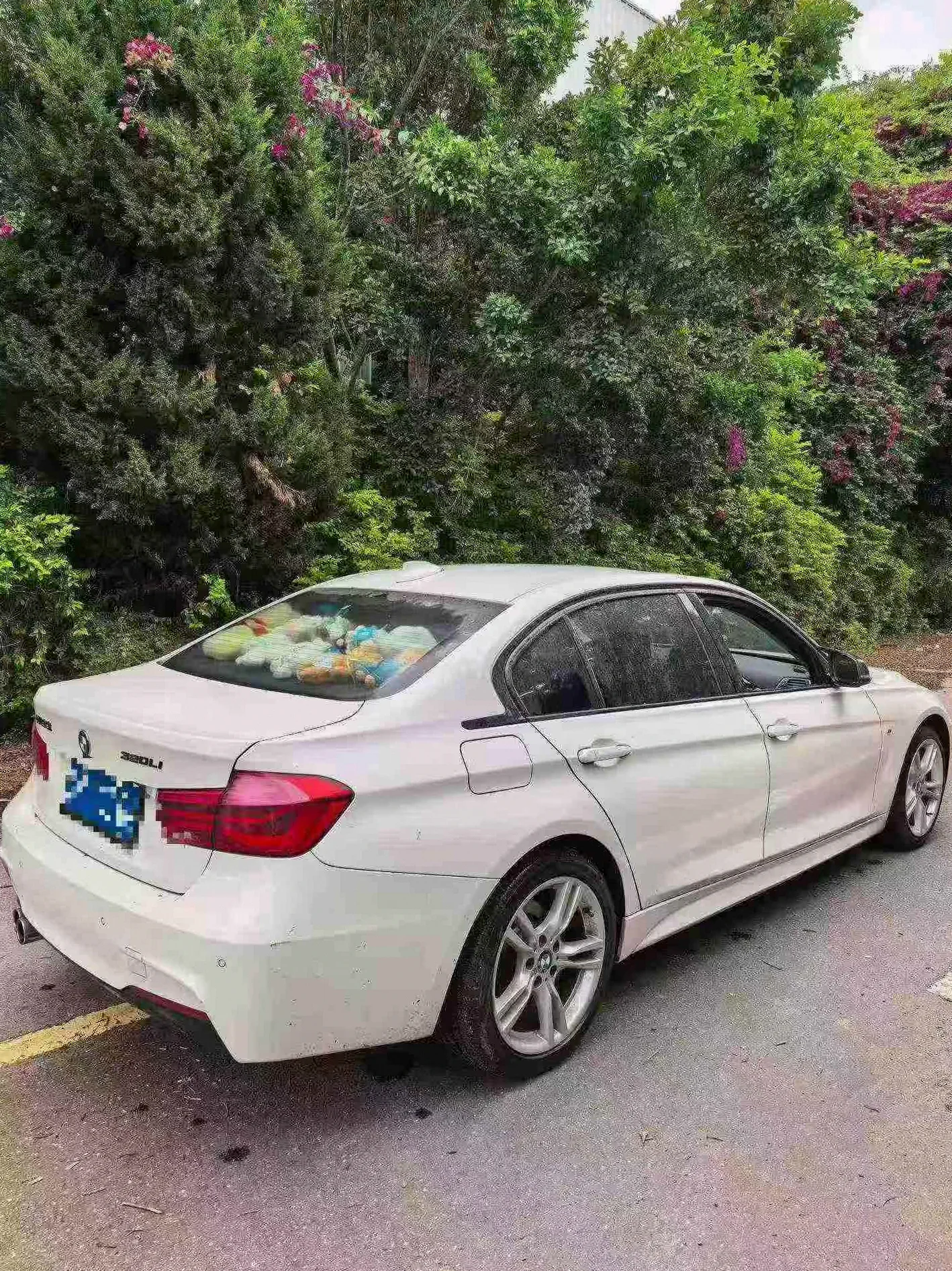 宝马3系 后面外观一