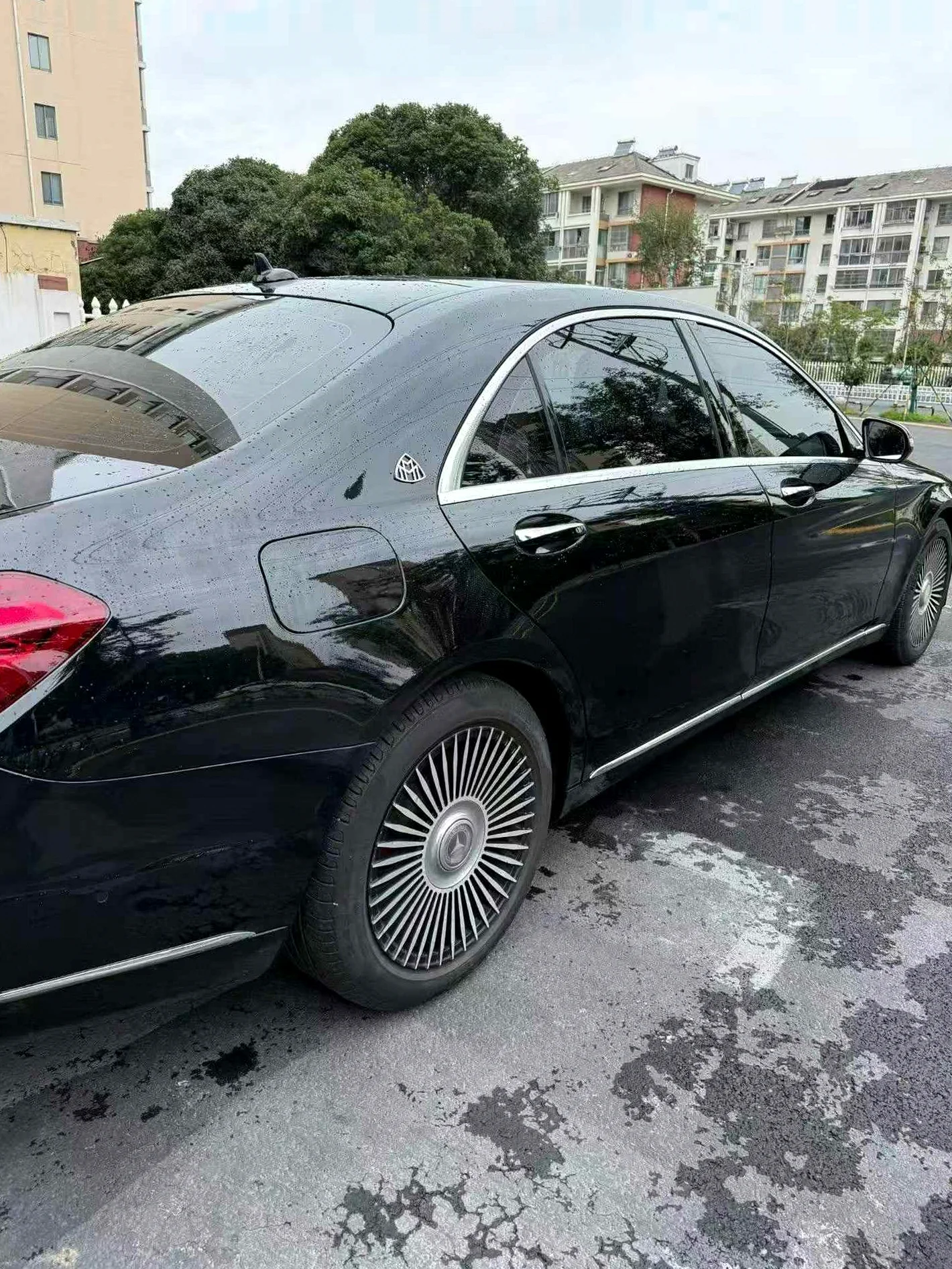 奔驰S 后面外观三