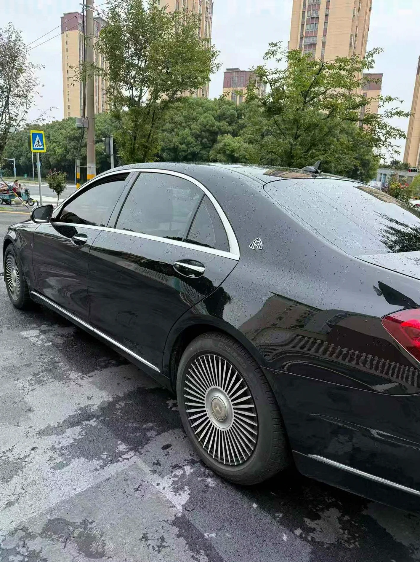奔驰S 后面外观二