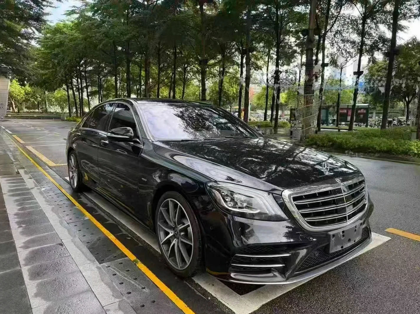 奔驰S 正面外观三