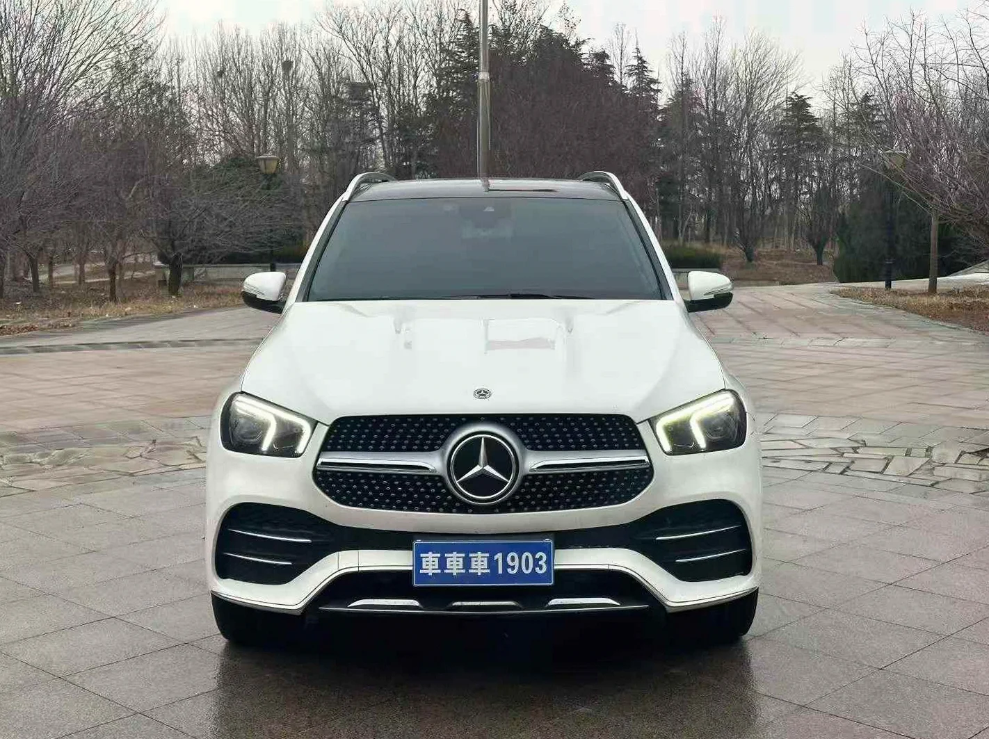 奔驰GLE 正面外观二
