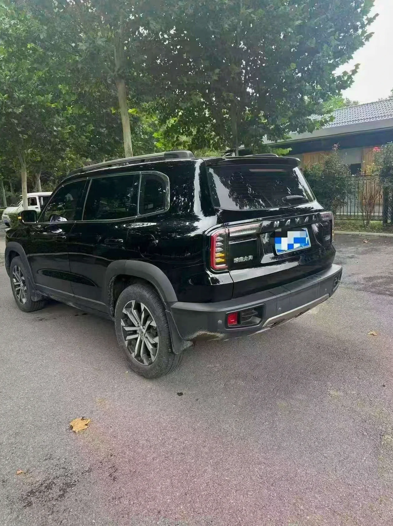 哈弗大狗 内饰后排