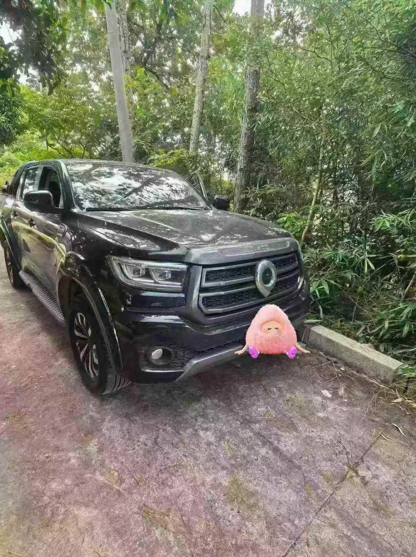 长城汽车炮 正面外观二