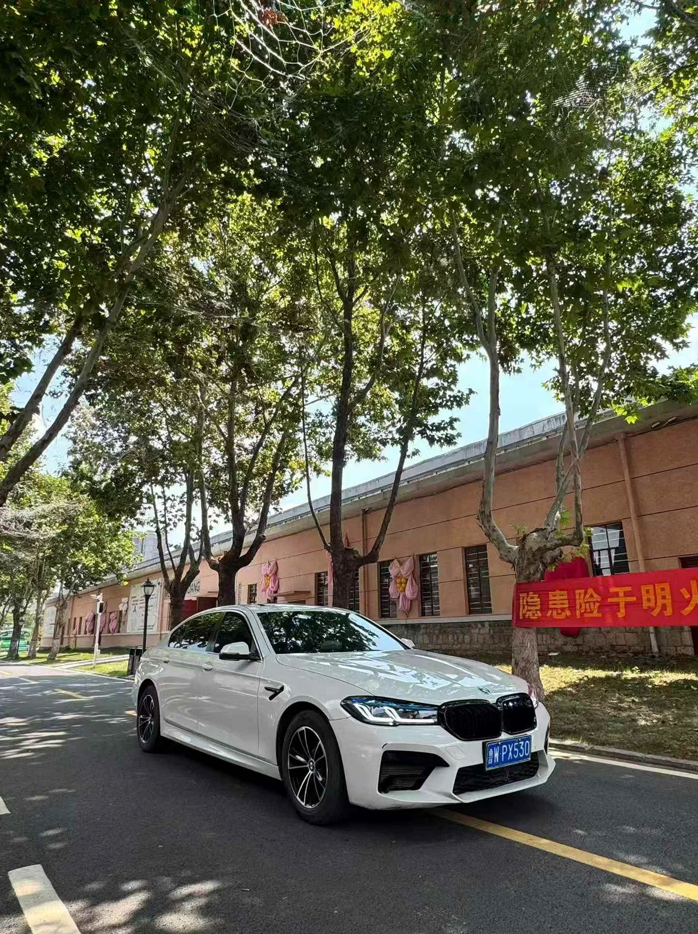 15款宝马520Li 白外棕内