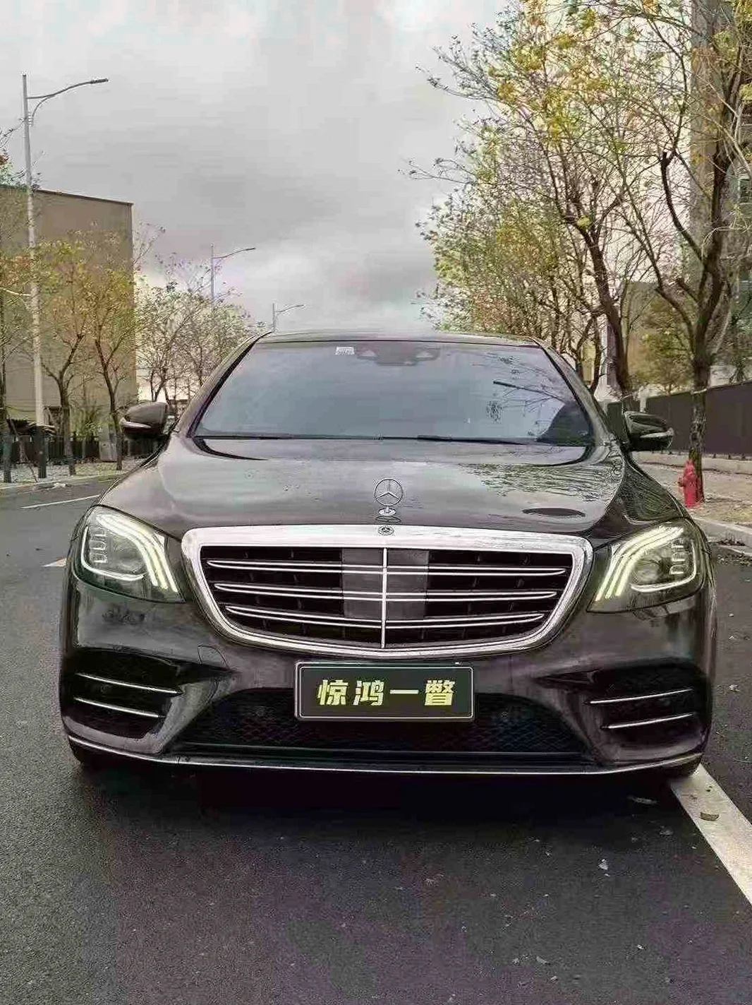奔驰S级 正面外观二