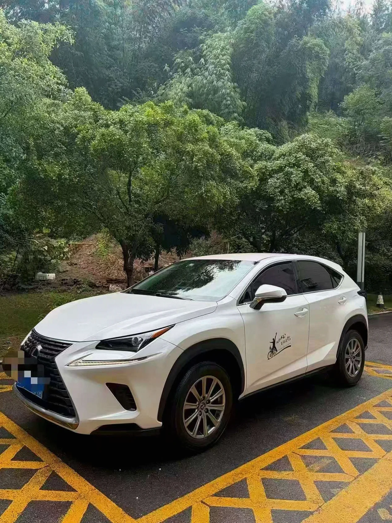 雷克萨斯NX 正面外观三