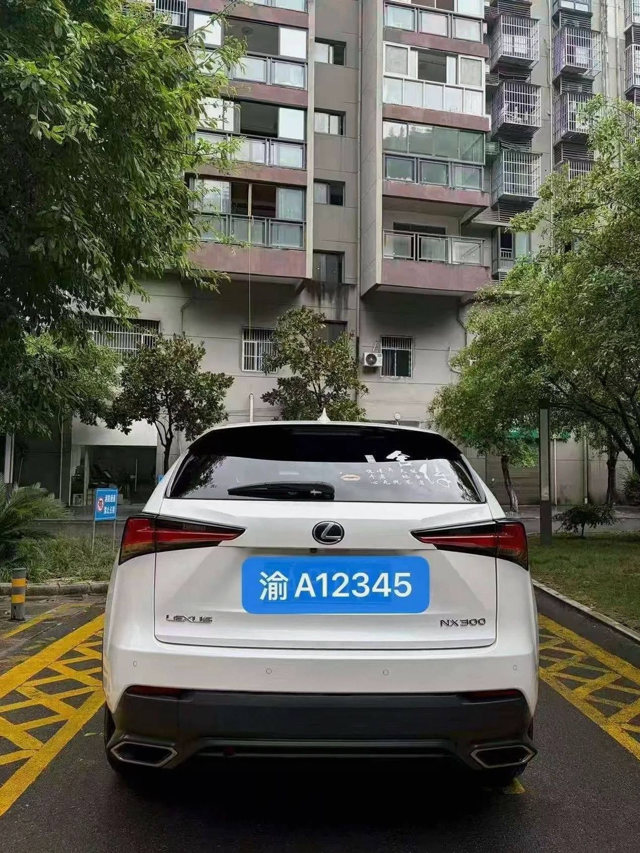 雷克萨斯NX 后面外观二