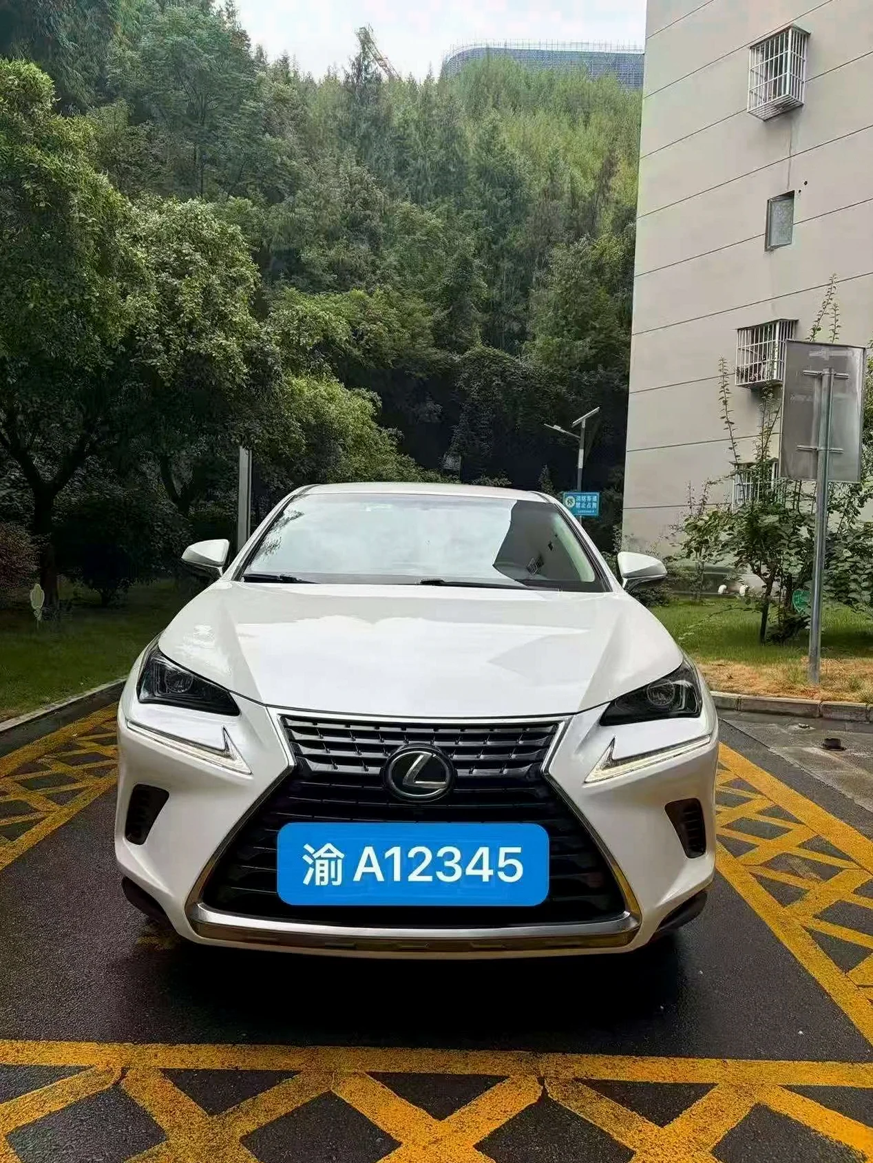 雷克萨斯NX 正面外观二