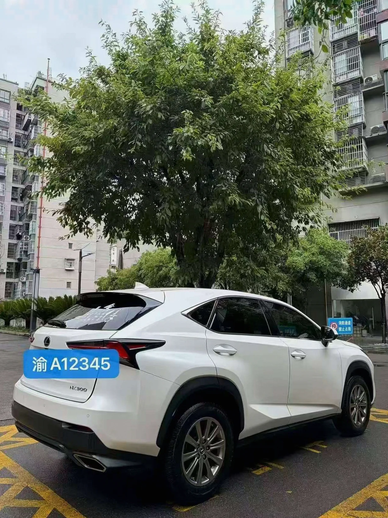 雷克萨斯NX 后面外观三