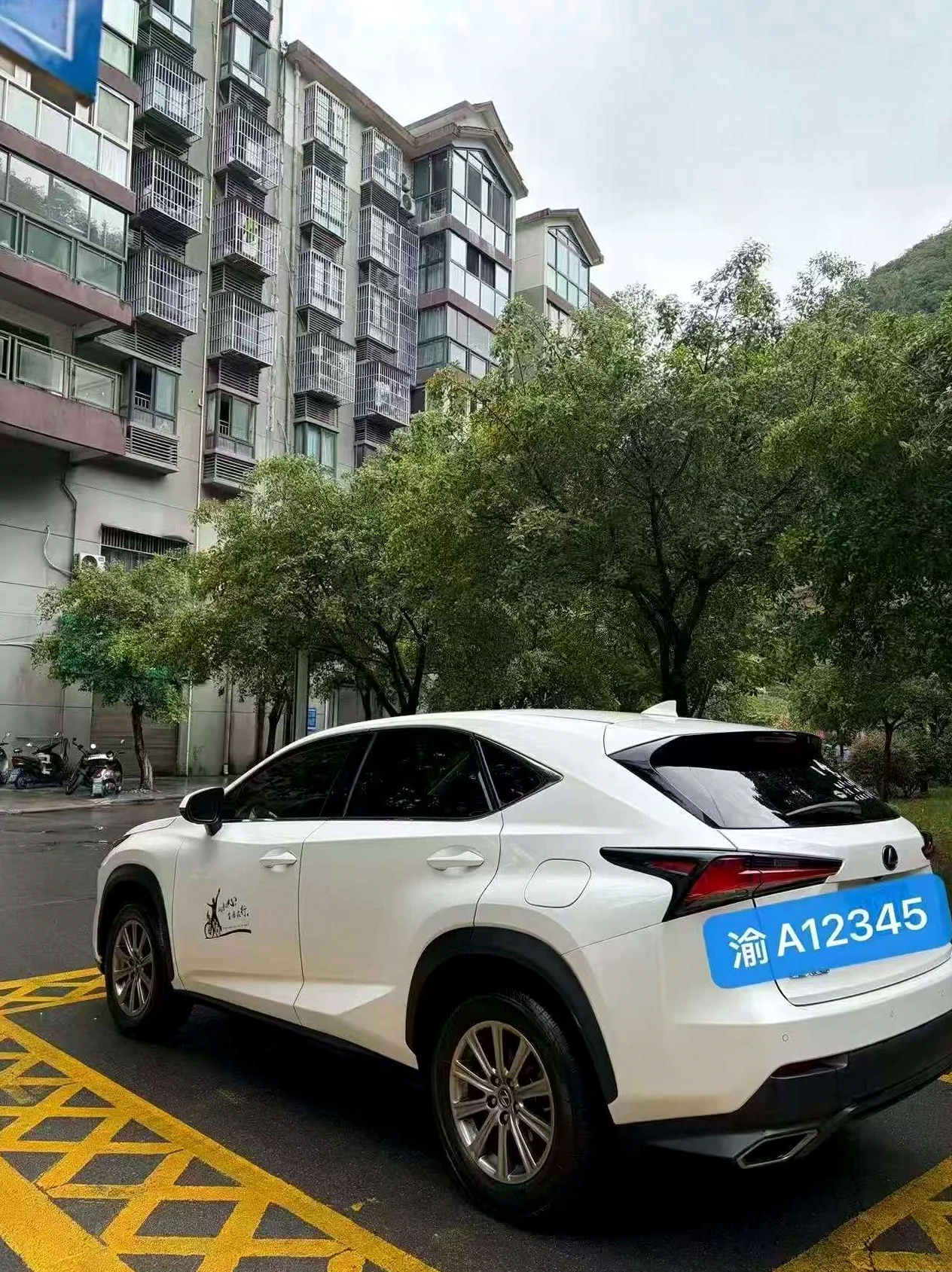 雷克萨斯NX 后面外观一
