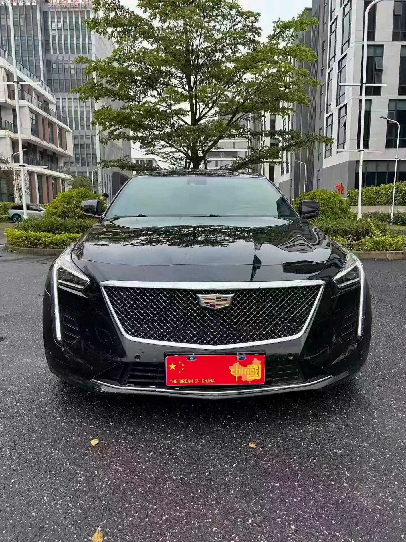 凯迪拉克CT6 正面外观二