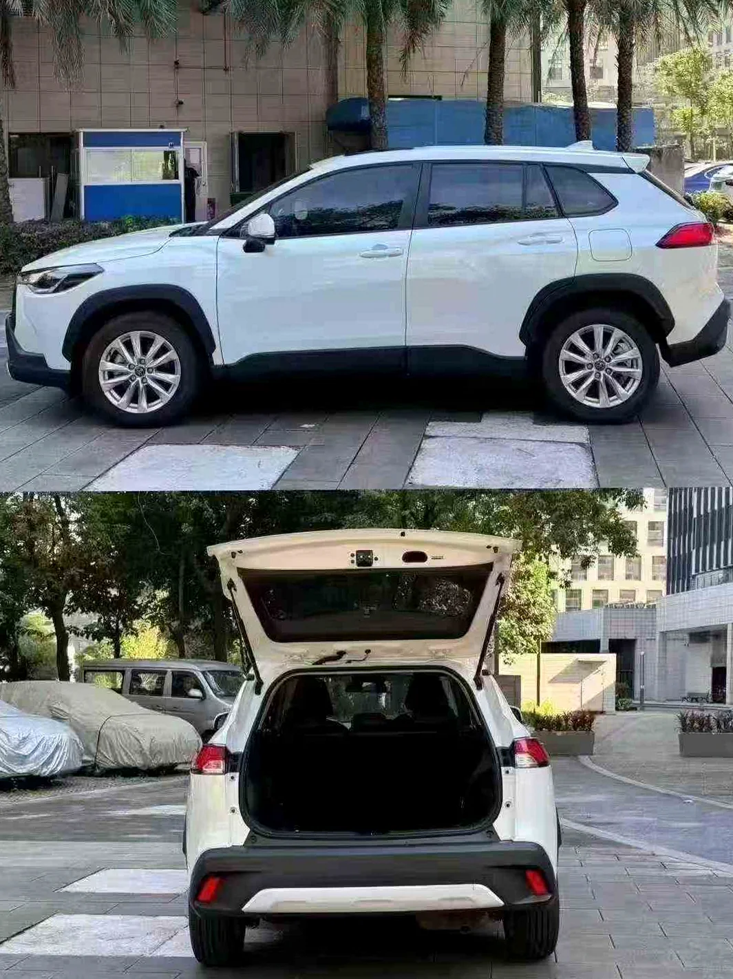 丰田卡罗拉 后面外观二