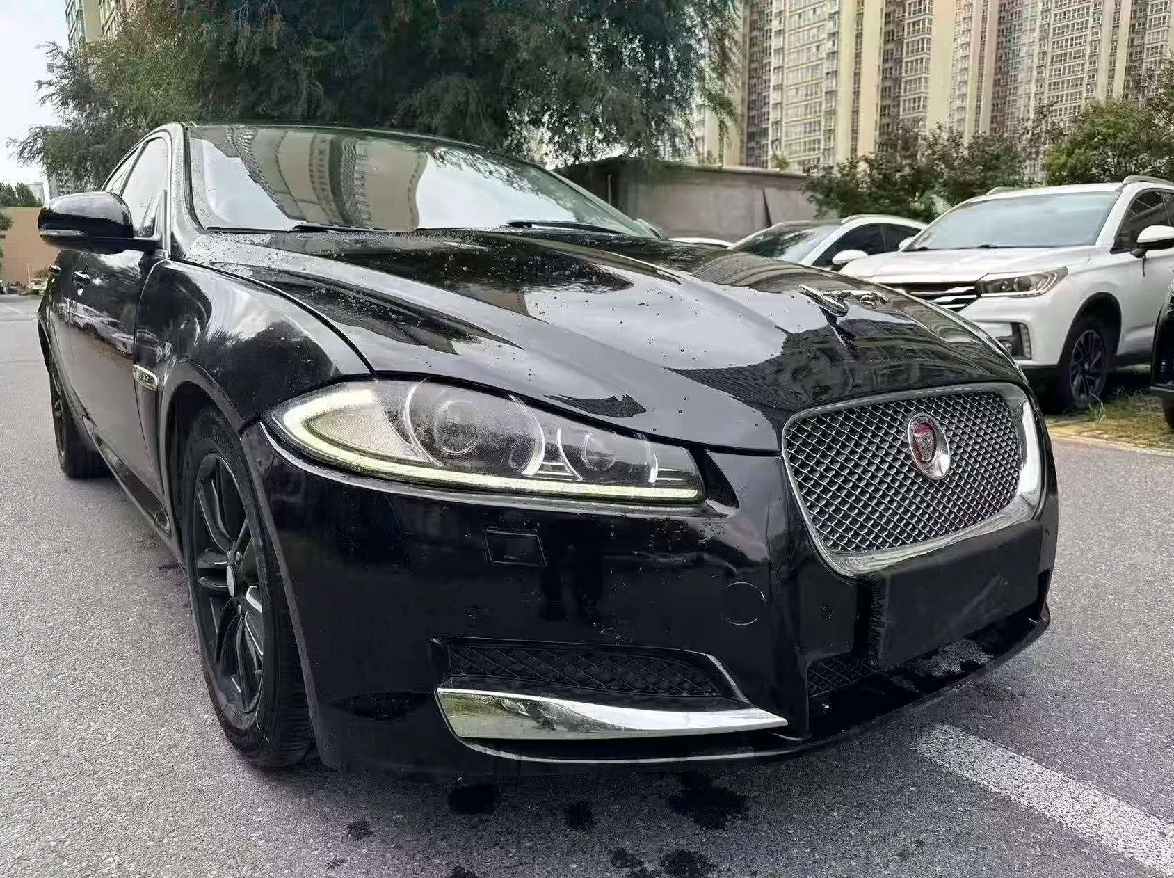 捷豹XF 正面外观三