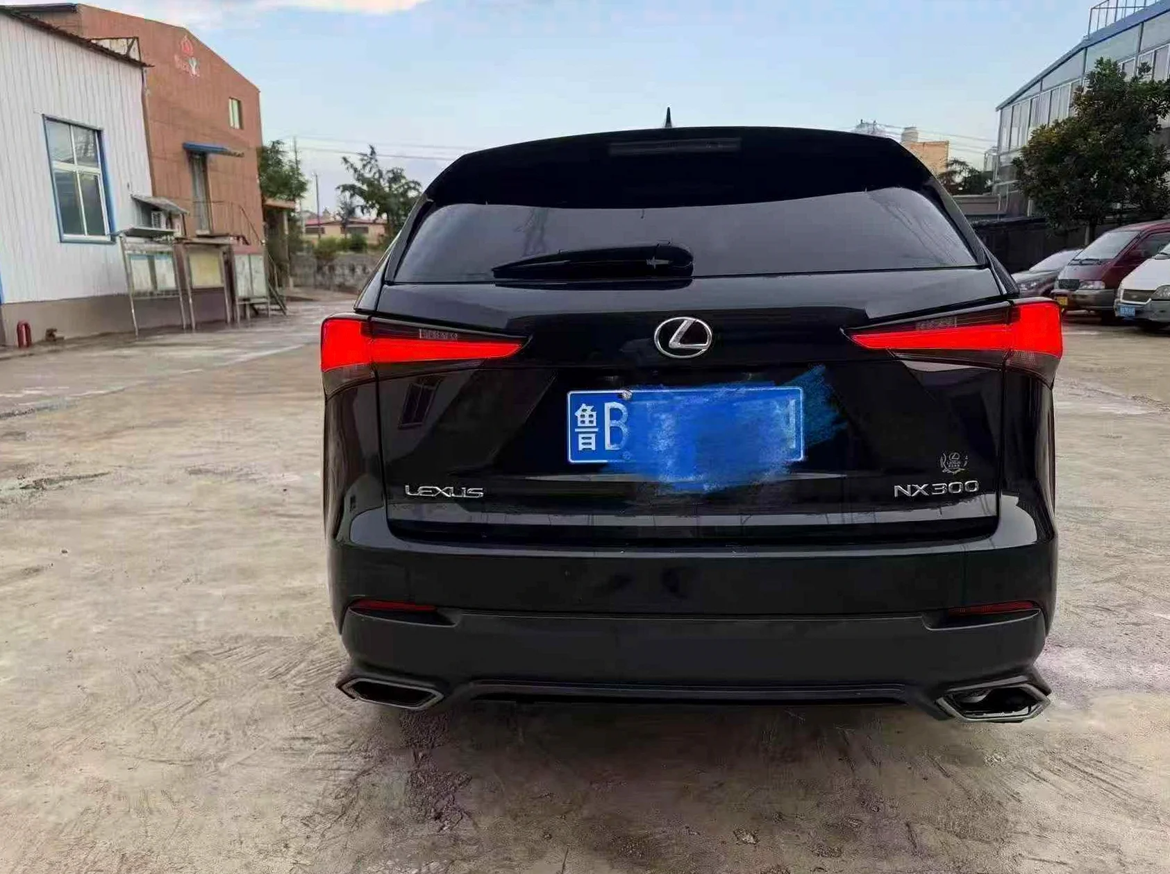 雷克萨斯NX 后面外观一