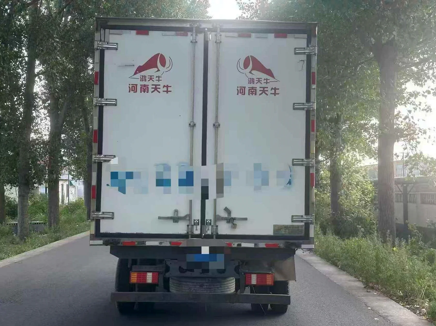 货车东风风光580/(EV) 后面外观三