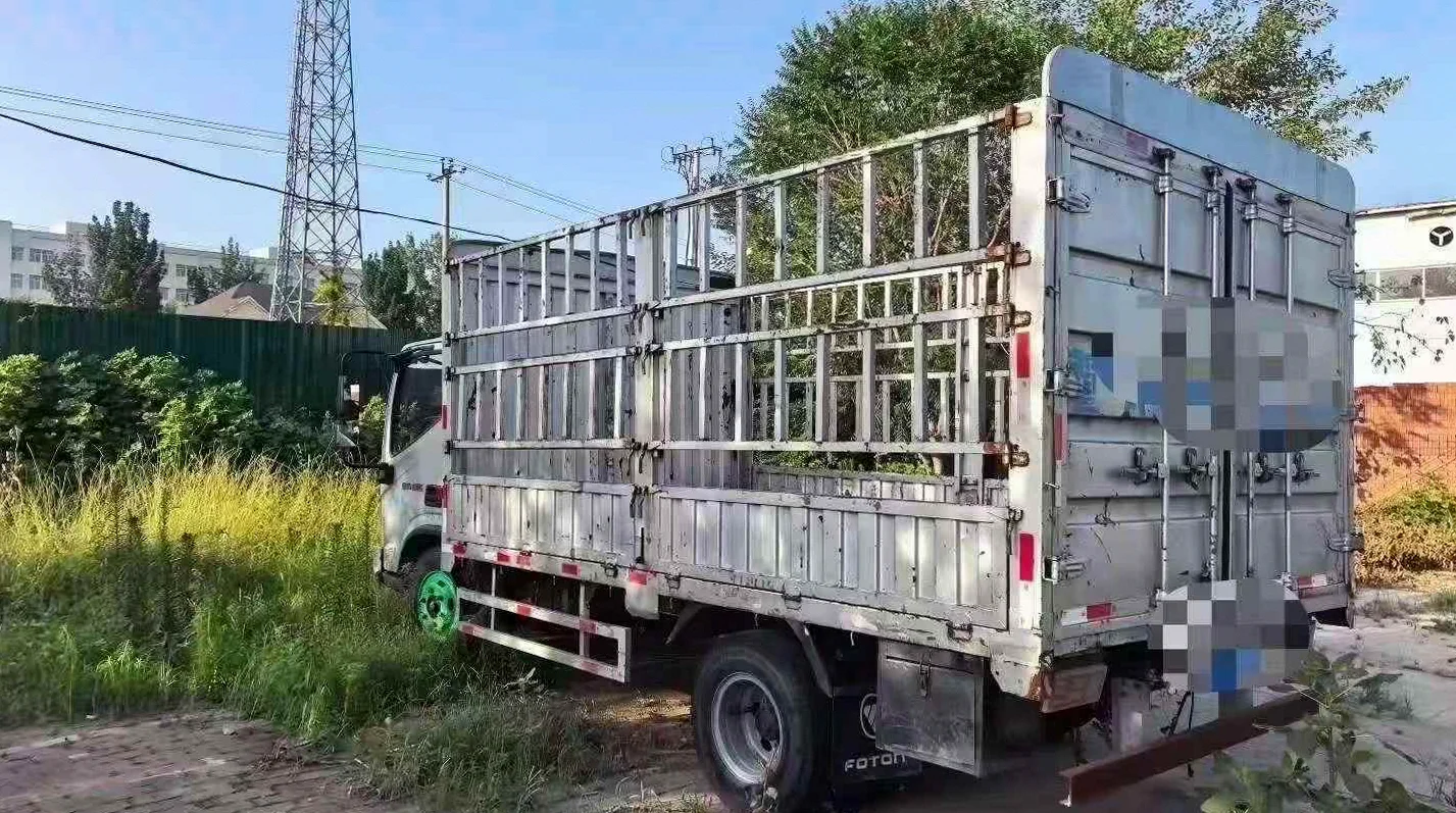 货车福田奥铃 后面外观二
