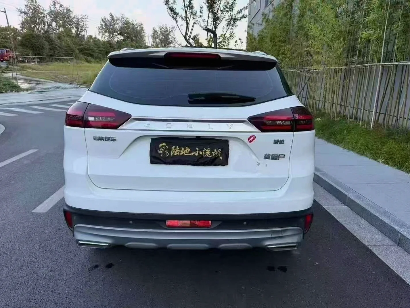 吉利博越 后面外观二