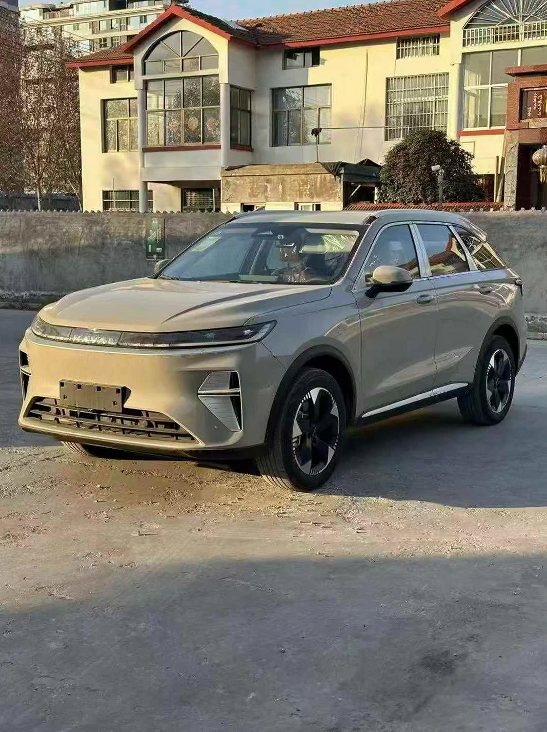 哈弗枭龙 后面外观一