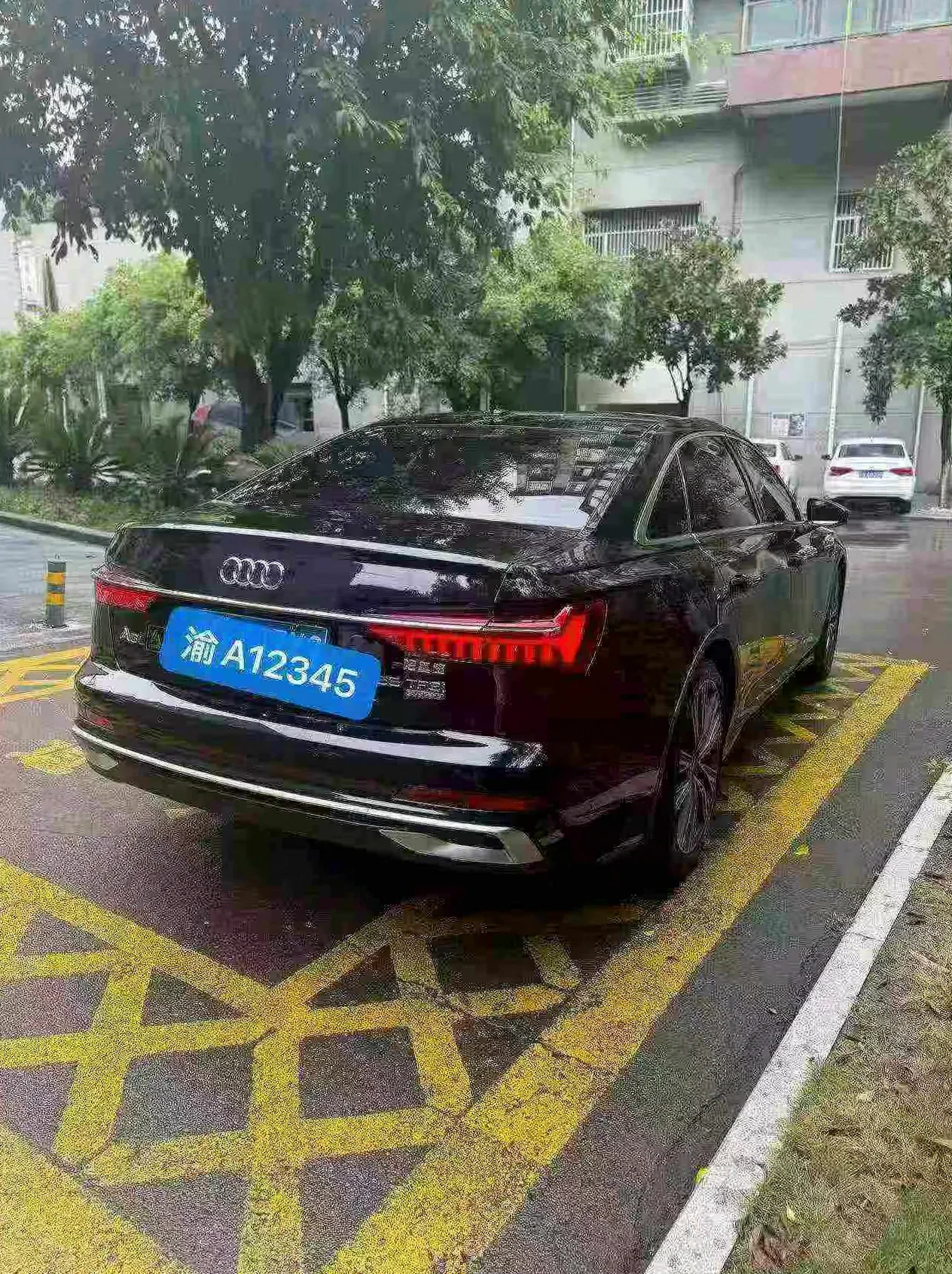 奥迪A6L 后面外观三