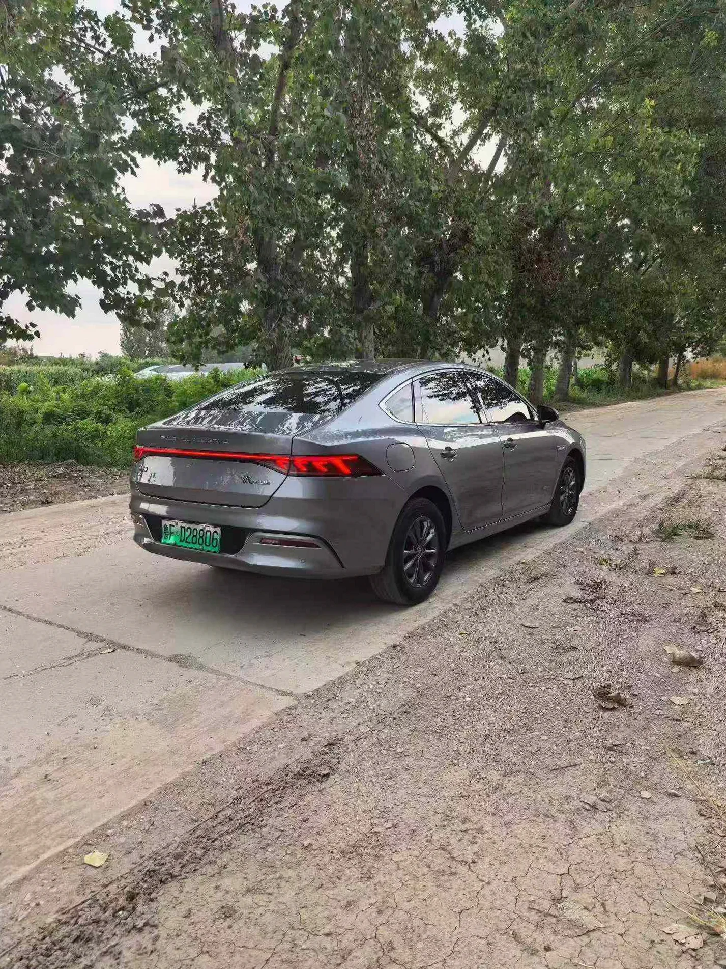 比亚迪秦 后面外观三