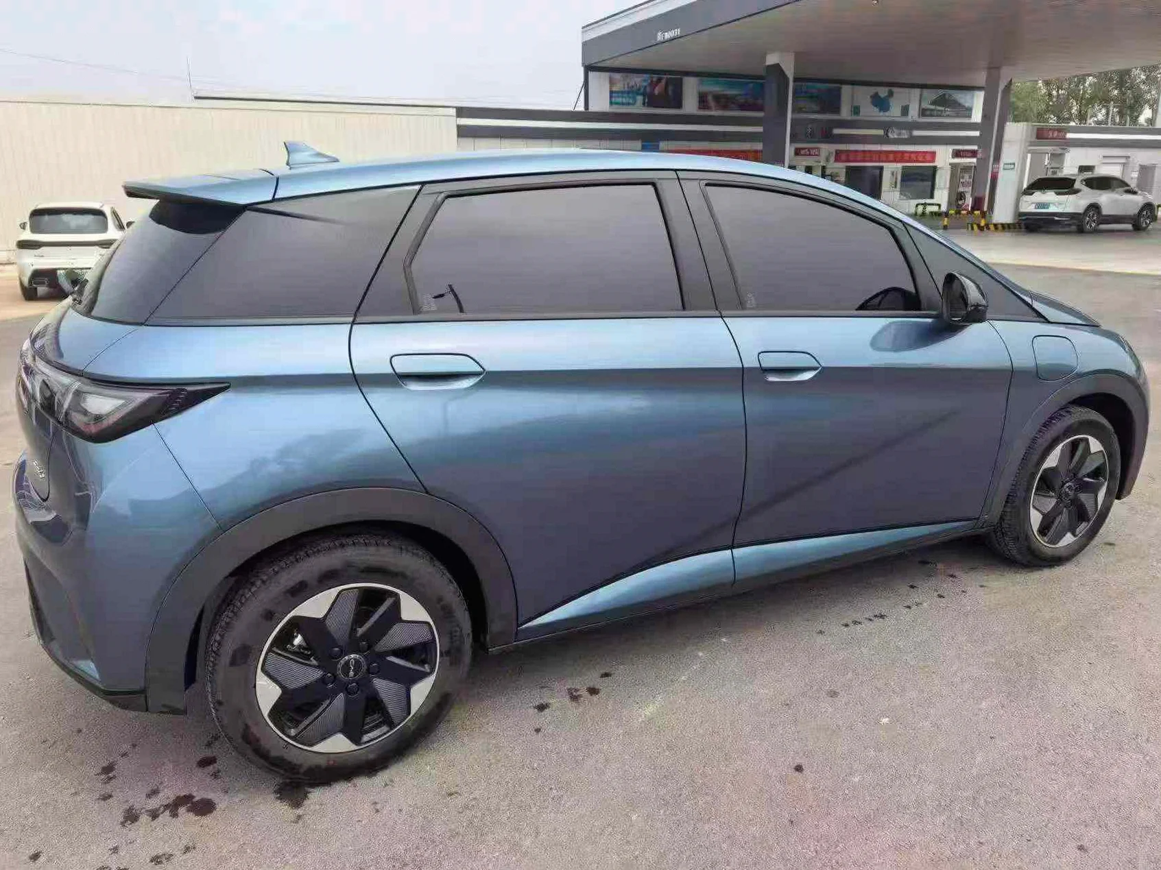比亚迪海豚 内饰后排