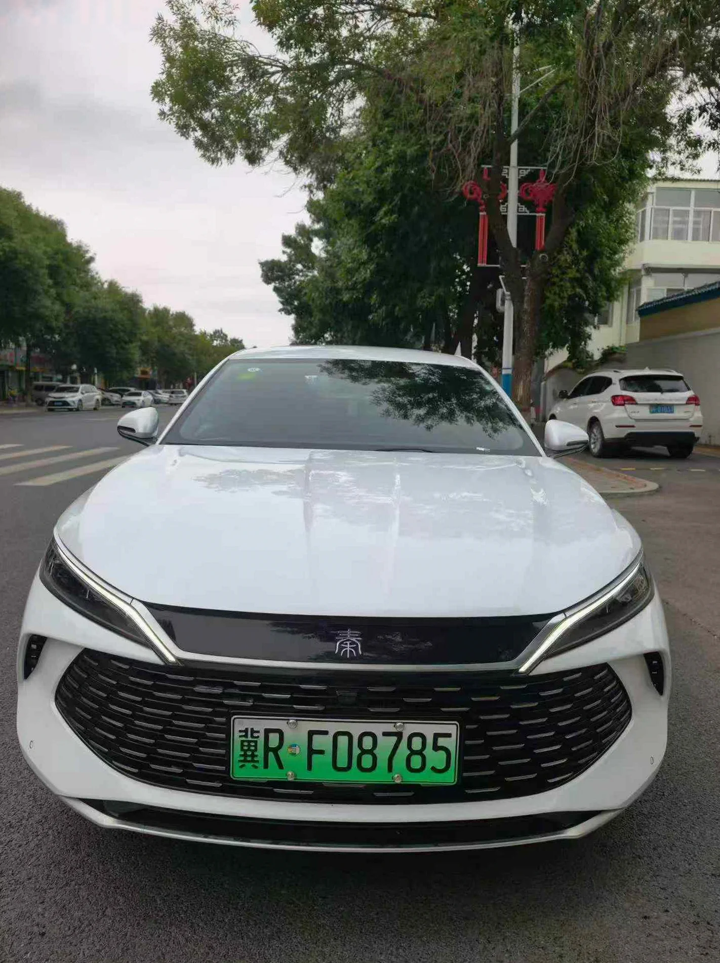 25款比亚迪秦L智驾版120KM超越型