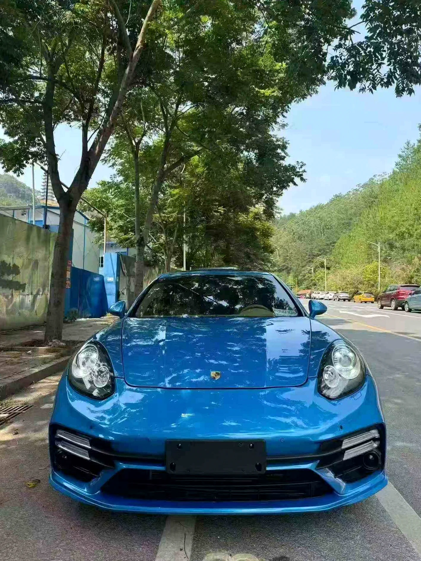 保时捷帕拉梅拉 正面外观二