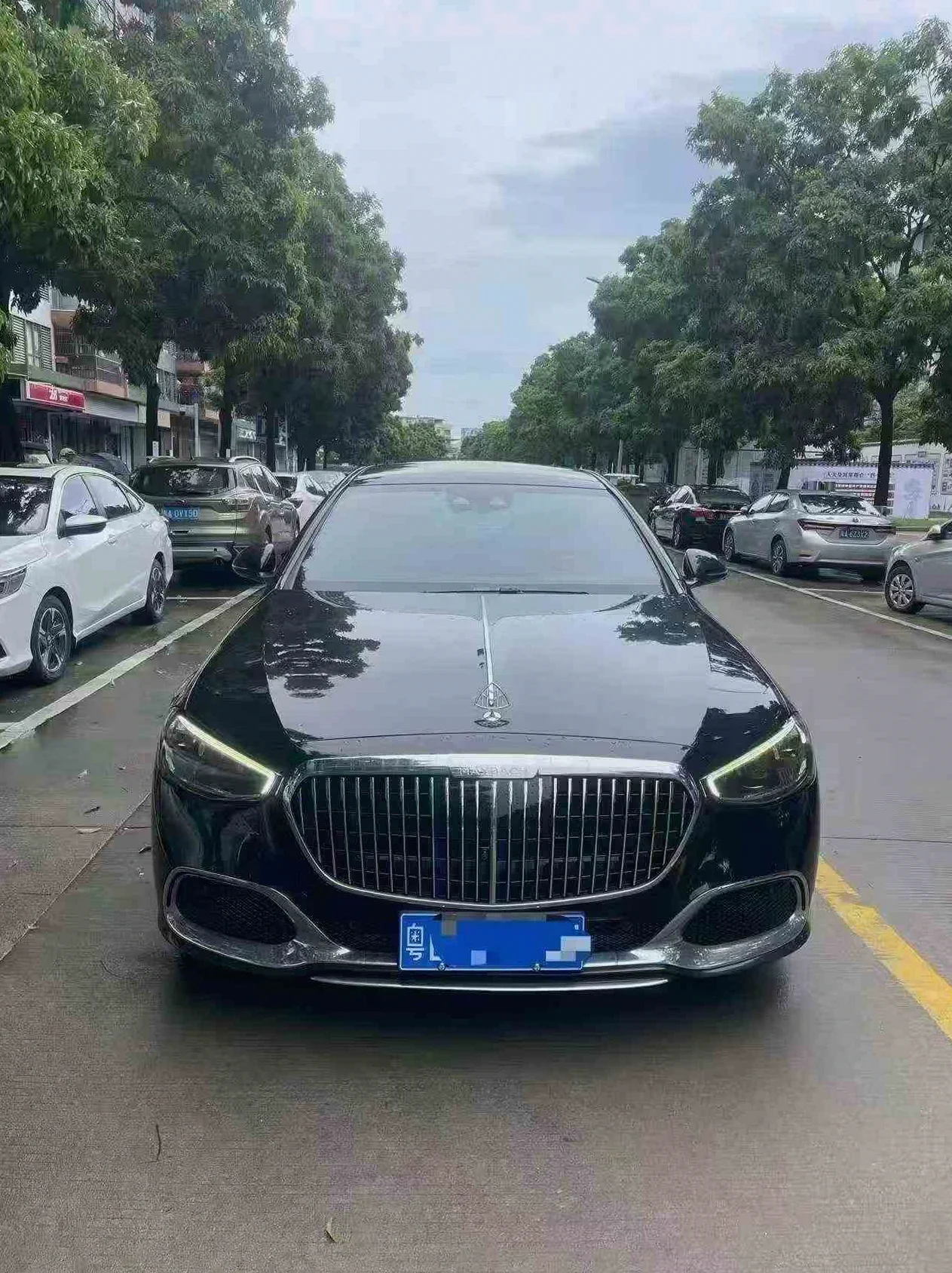 奔驰迈巴赫S级 正面外观二