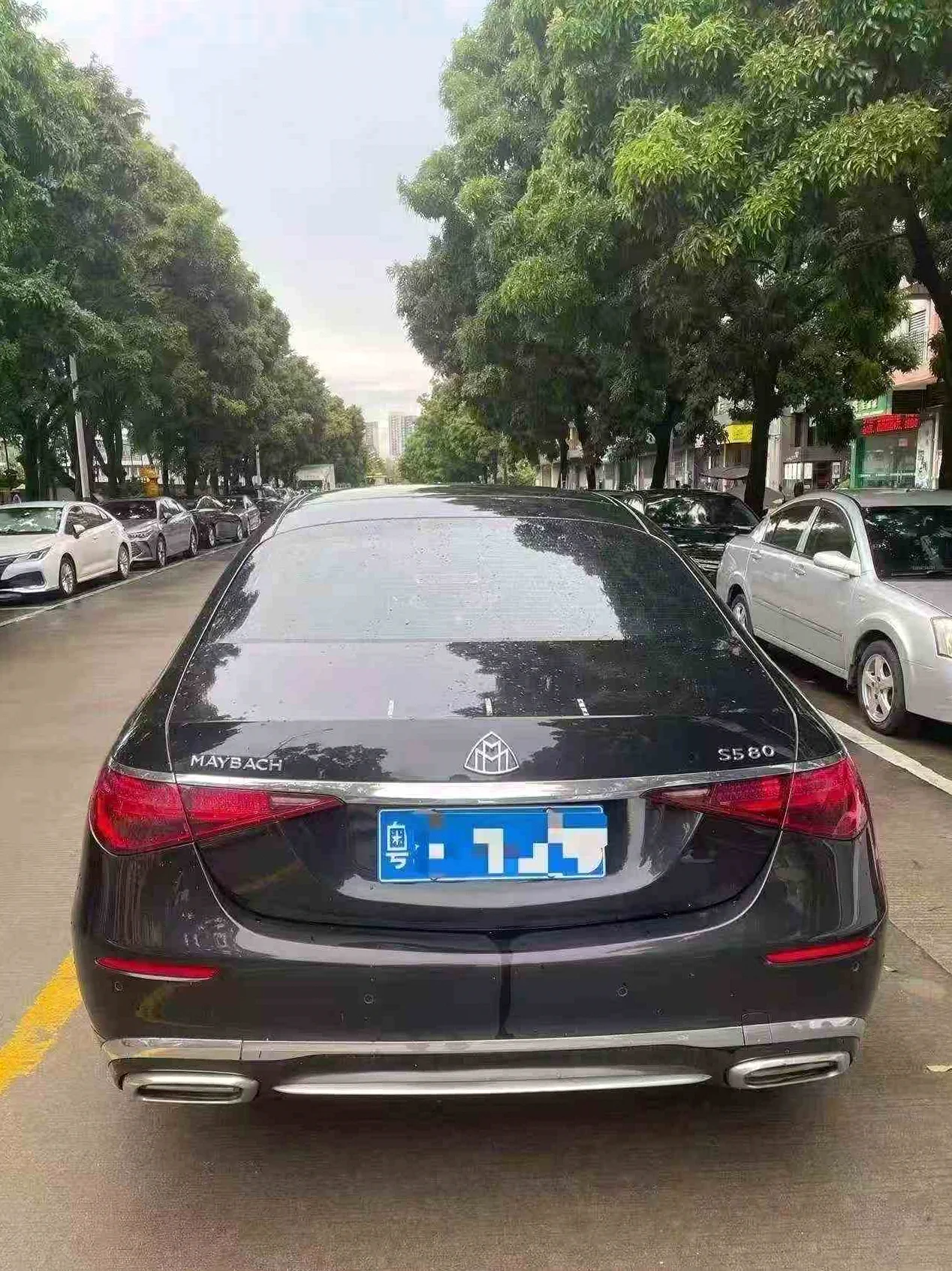 奔驰迈巴赫S级 后面外观二