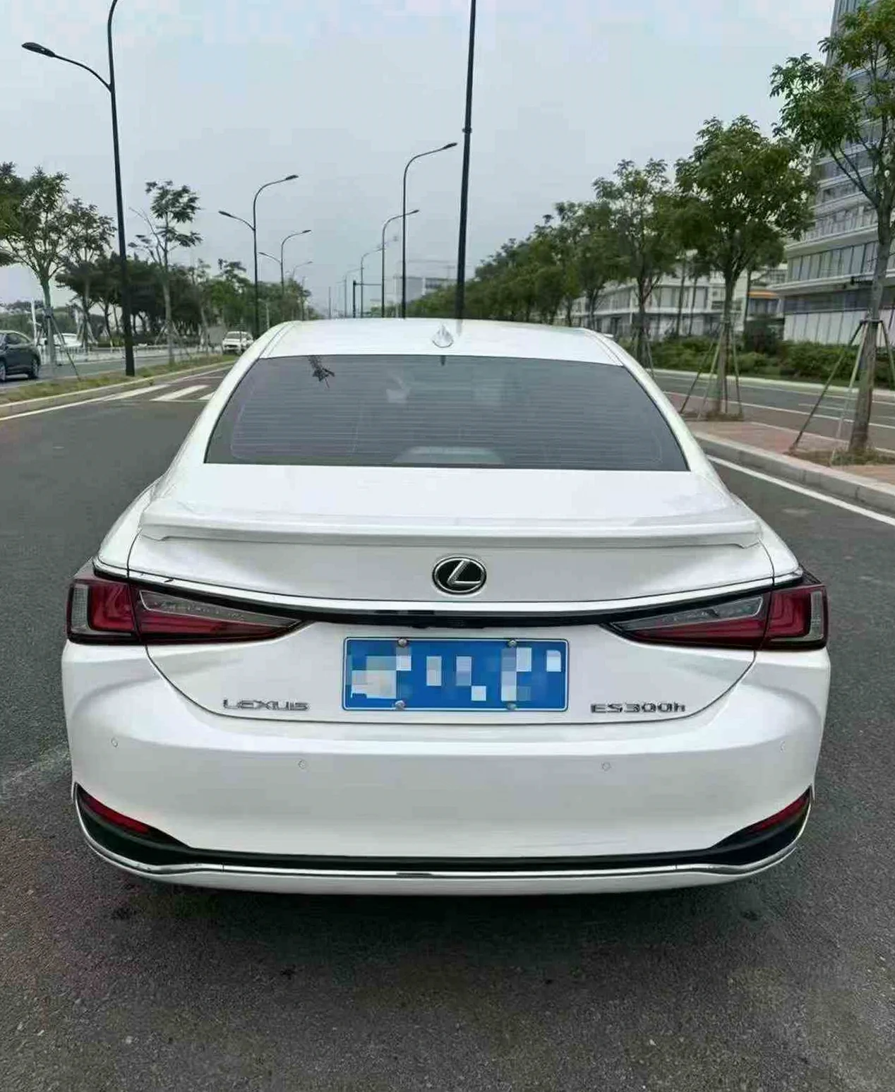 雷克萨斯ES 后面外观二