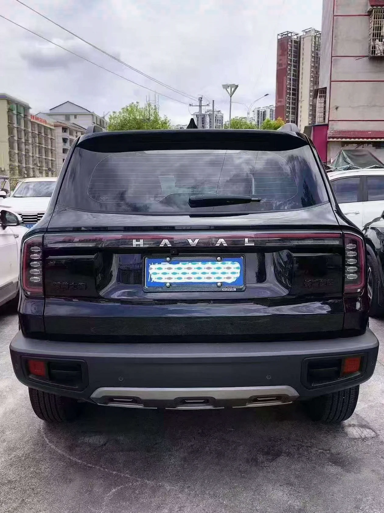 哈弗大狗 后面外观二