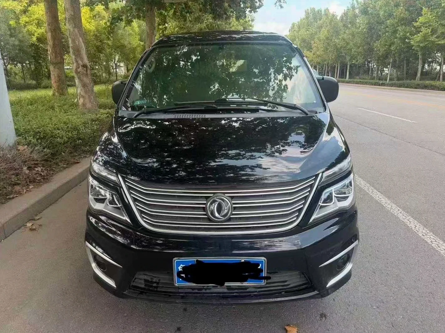 2021款 东风 菱智