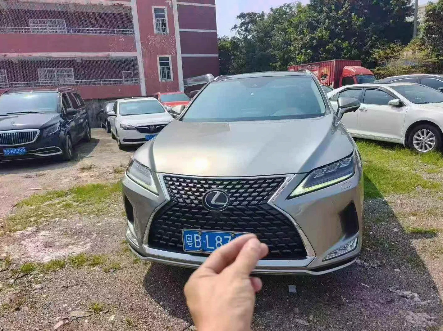 2021款 雷克萨斯 RX