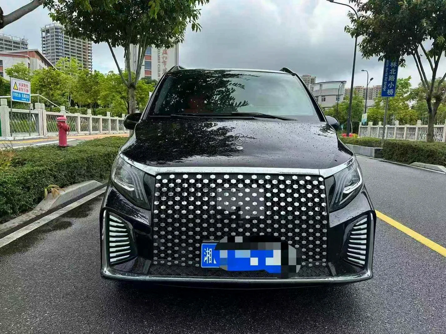 2023款 奔驰 威霆
