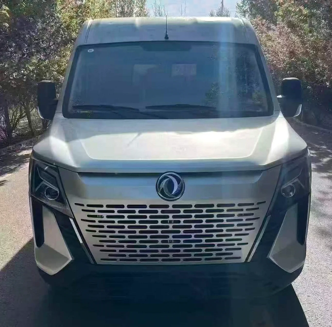 2024款 东风 御风