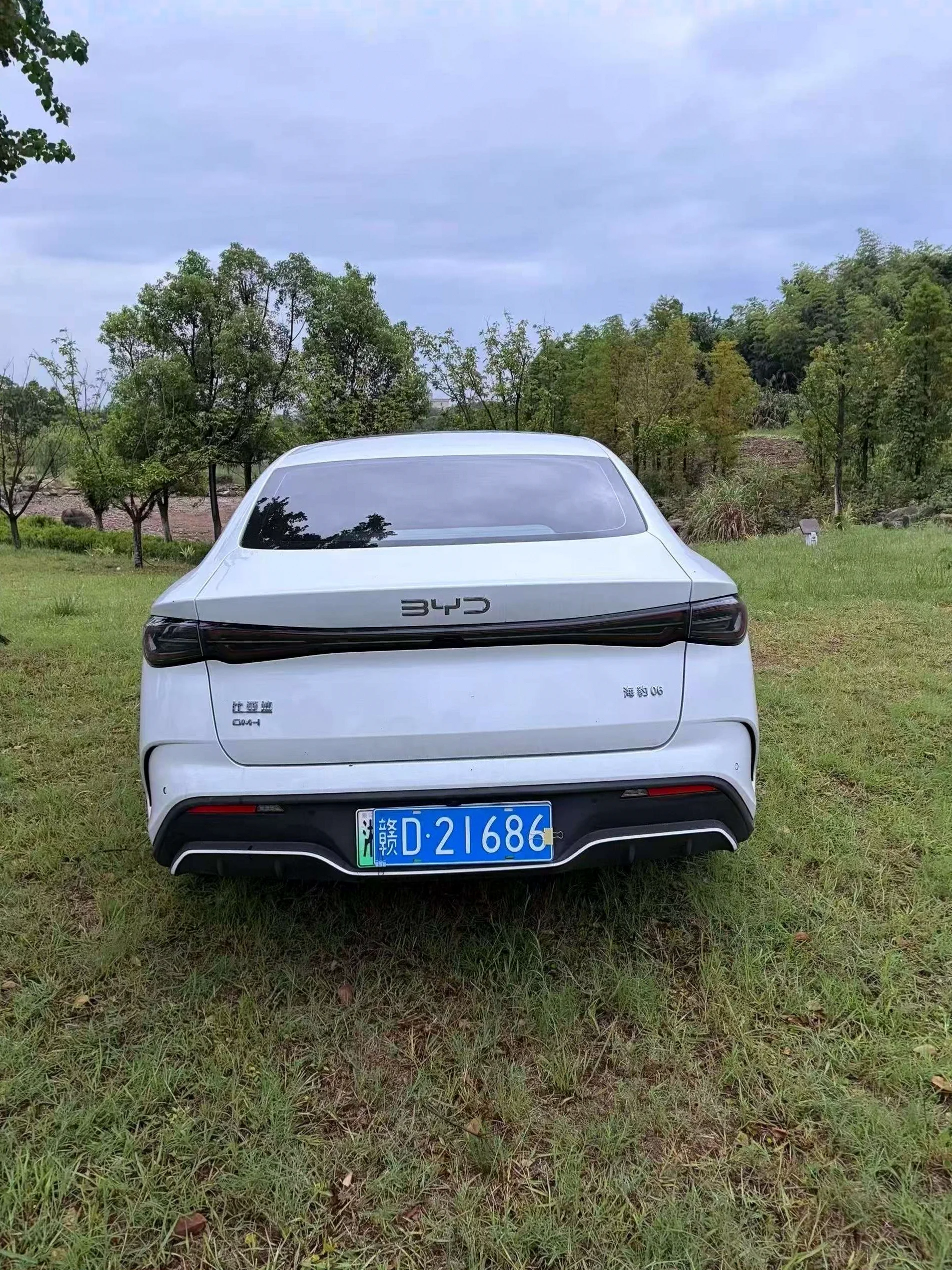 比亚迪海豹 内饰后排