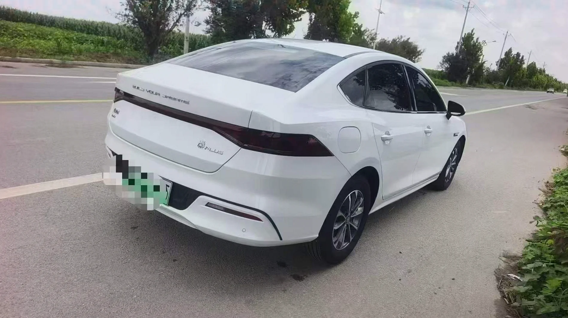 比亚迪秦 后面外观二